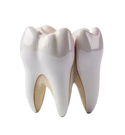 Dental implant tooth icon